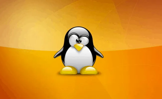 Optimiser les images pour le web sur un serveur de production